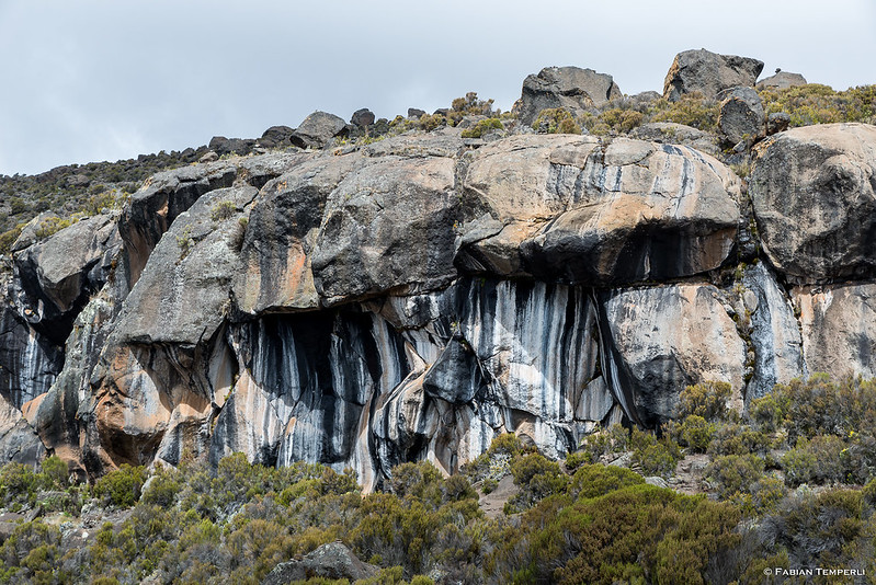 Zebra rocks | Kilimanjaro Marangu Trekking